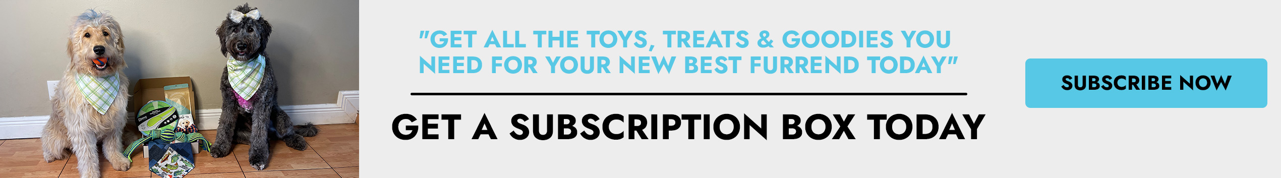 Puppy Subscription Box - All Tails Wag