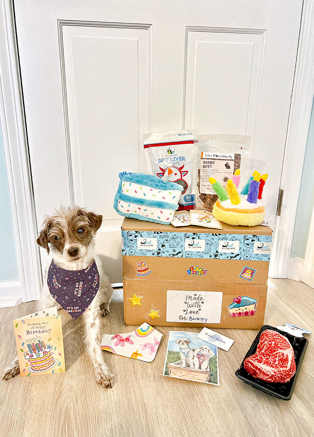 All Tails Wag Group Gift Box
